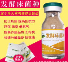 探索微觀世界 生物菌種的高清圖片之眼