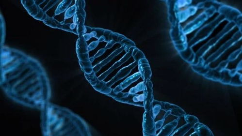 生物實驗室必備設備與生物菌種介紹