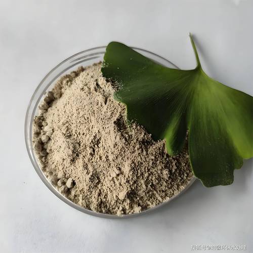 微生物菌種在廢水處理中的高效降解機制