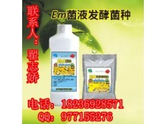 生物飼料發(fā)酵劑與微生物菌種購(gòu)買指南 渠道、選擇與注意事項(xiàng)